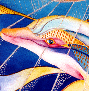 Celebration Hawaiian Dolphin