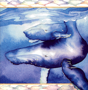 Council of the Humpback Whales