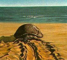 voltando ao mar